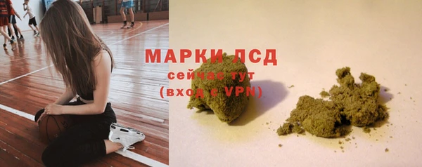 крисы Липки