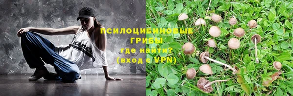 мдпв Лиски