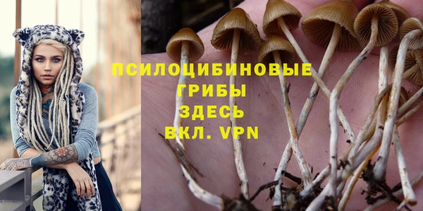 мдпв Лиски