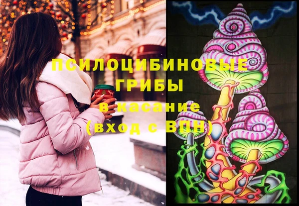 дмт Новодвинск