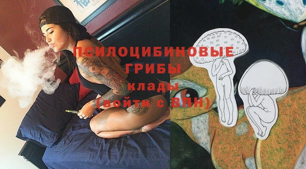 мдпв Лиски