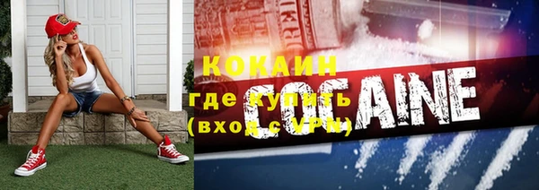 крисы Липки