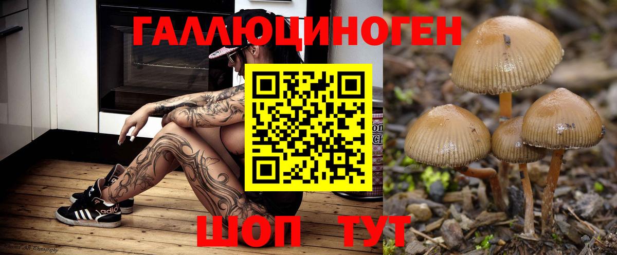 Реутов  Псилоцибиновые грибы MAGIC MUSHROOMS  Вход с VPN  Галлюциногенные грибы мухоморы 