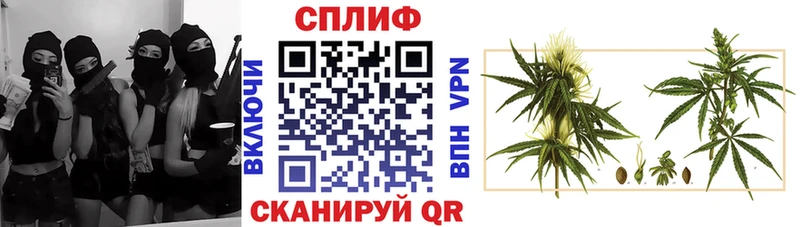 где можно купить наркотик  Реутов  Бошки Шишки гибрид 